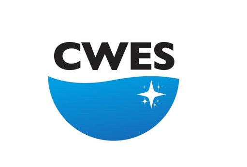 cwes-mini cwes-mini